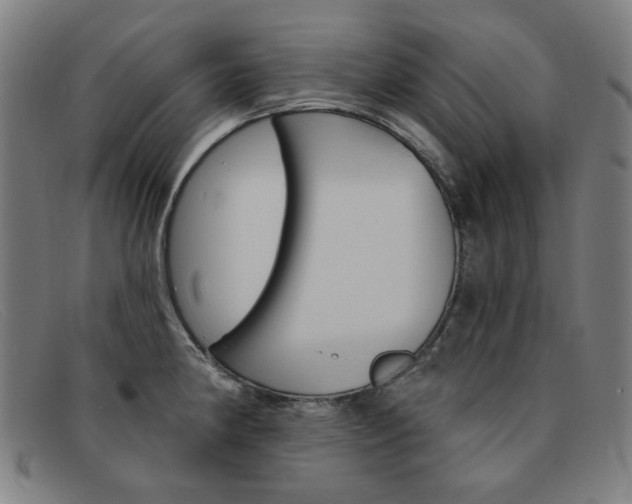 X0000092111190200709121123