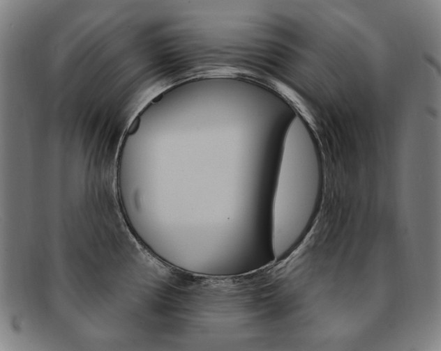 X0000092111194200709121123