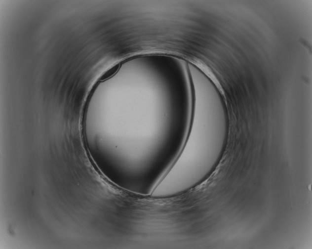 X0000092111197200709121123