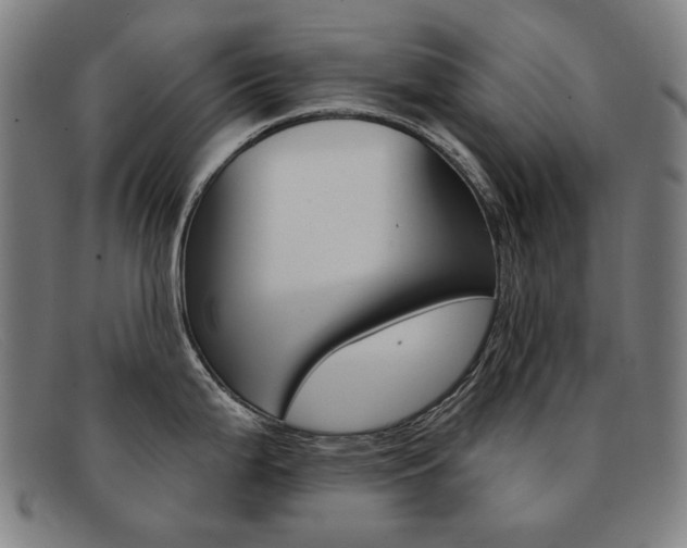 X0000092111199200709121123