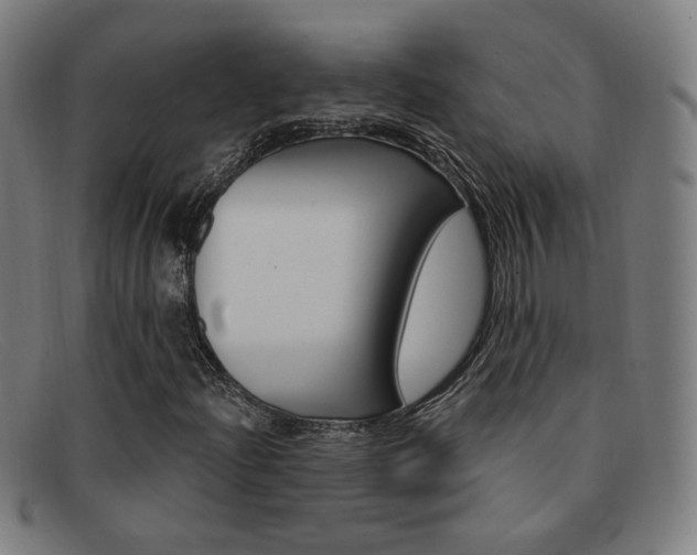 X0000092111204200709121123