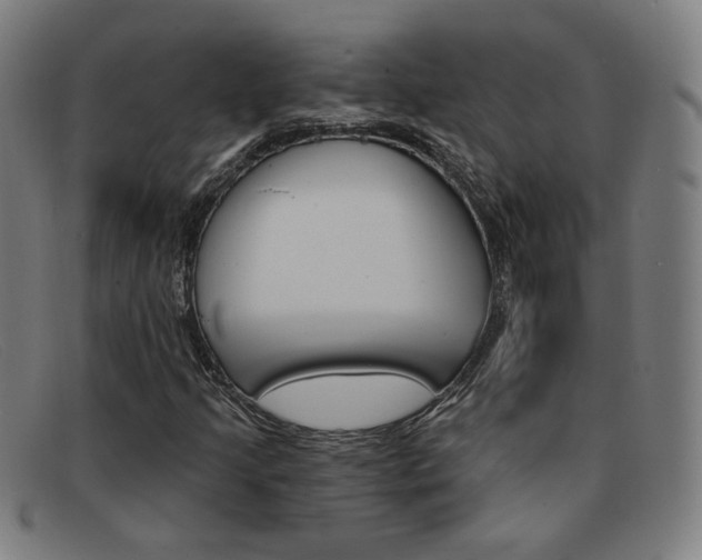X0000092111205200709121123