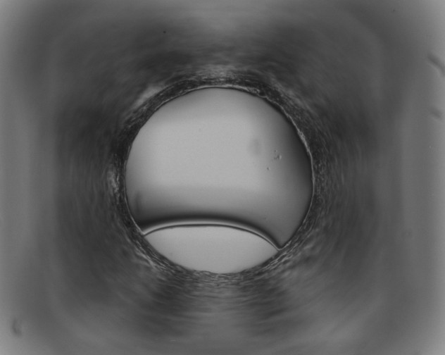 X0000092111206200709121123