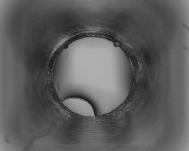 X0000092111208200709121123