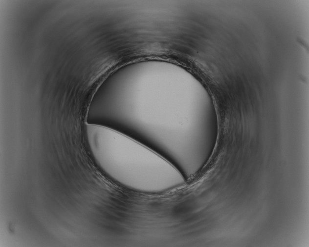 X0000092111209200709121123