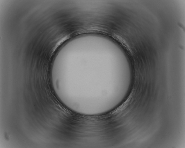 X0000092111210200709121123