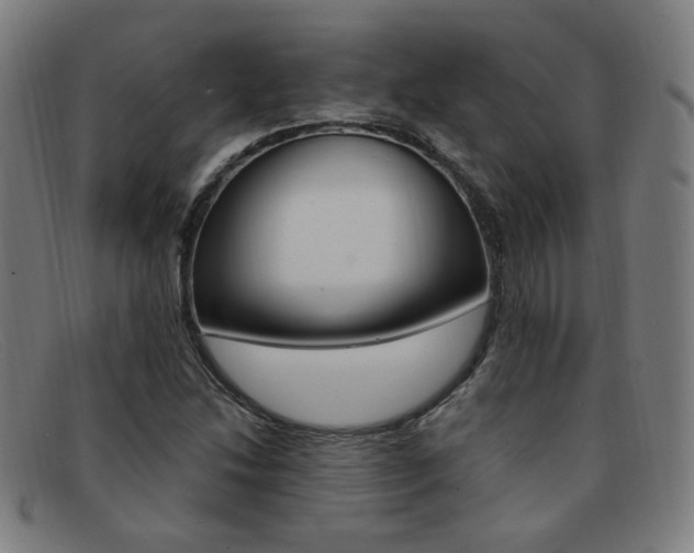 X0000092111214200709121123
