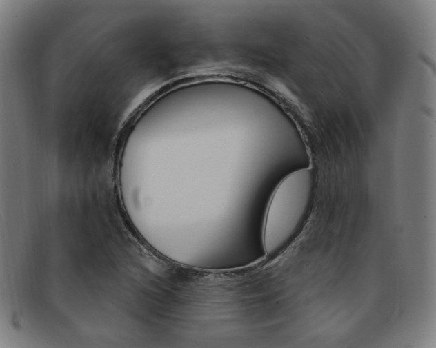 X0000092111216200709121123