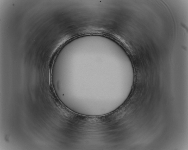X0000092111219200709121123