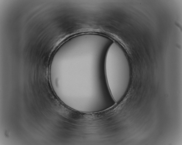 X0000092111220200709121123
