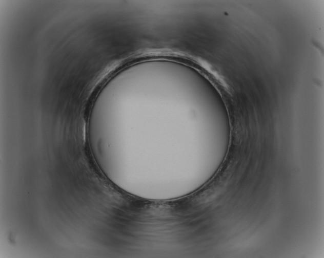X0000092111221200709121123