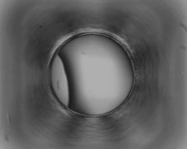 X0000092111223200709121123