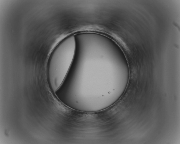 X0000092111224200709121123
