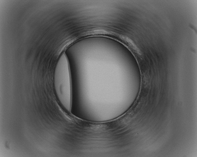 X0000092111225200709121123