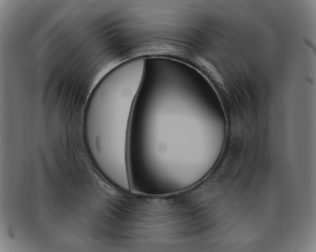 X0000092111226200709121123