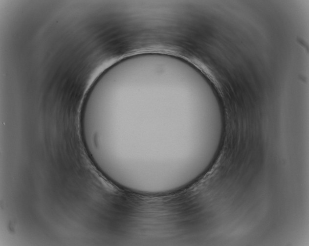 X0000092111230200709121123