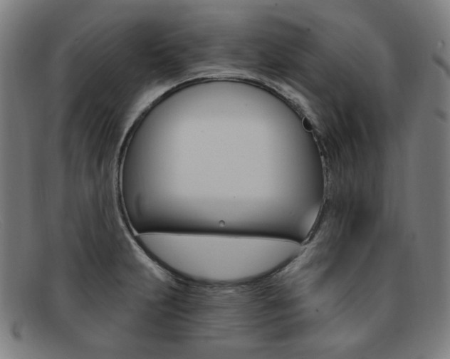X0000092111231200709121123