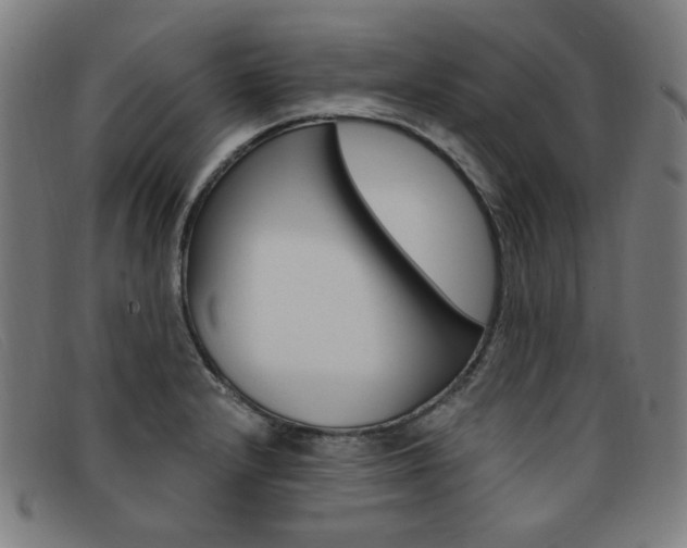 X0000092111232200709121123
