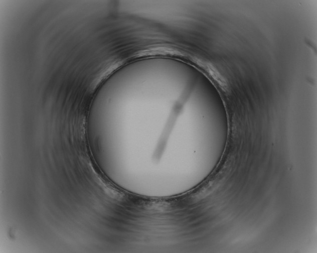 X0000092111233200709121123