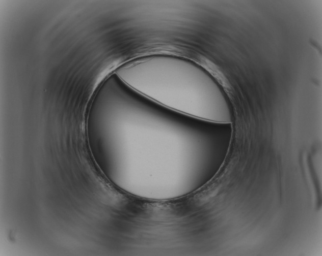 X0000092111234200709121123