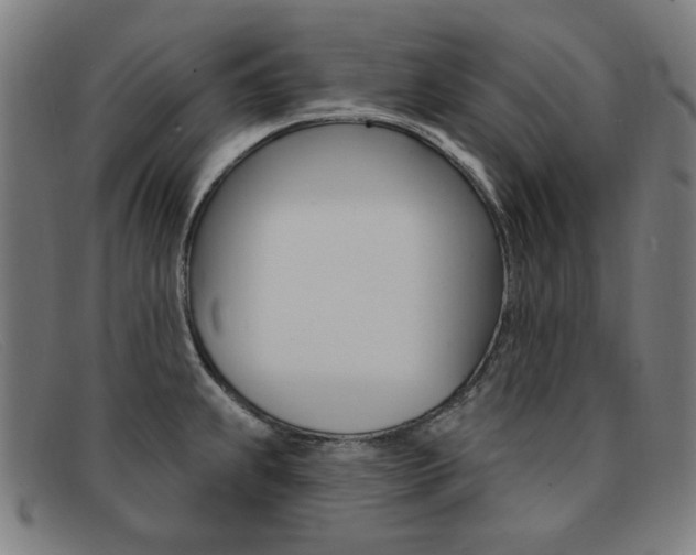X0000092111239200709121123