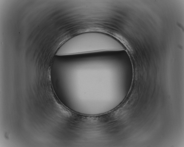 X0000092111241200709121123