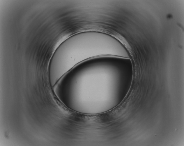 X0000092111242200709121123