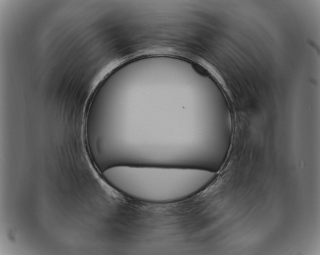 X0000092111245200709121123