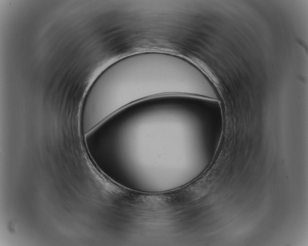 X0000092111246200709121123