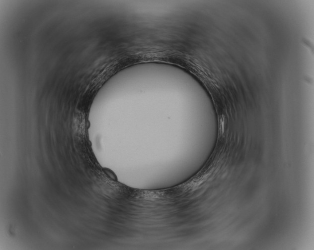 X0000092111251200709121123
