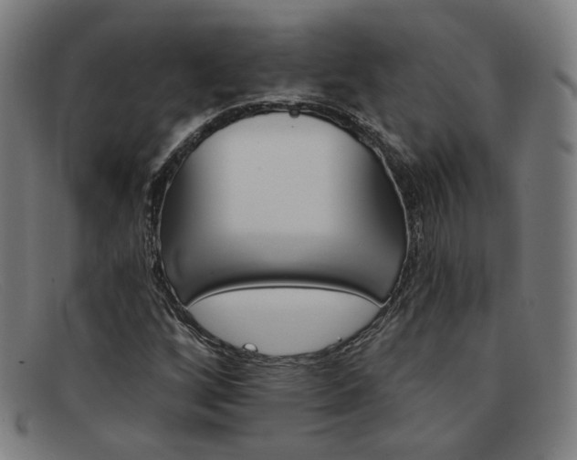 X0000092111256200709121123