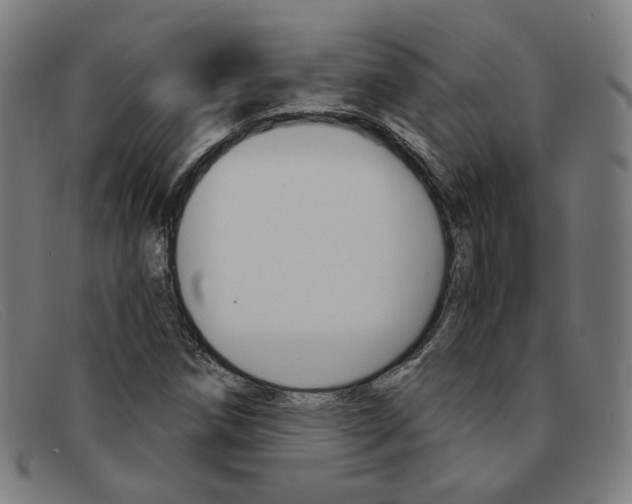 X0000092111258200709121123