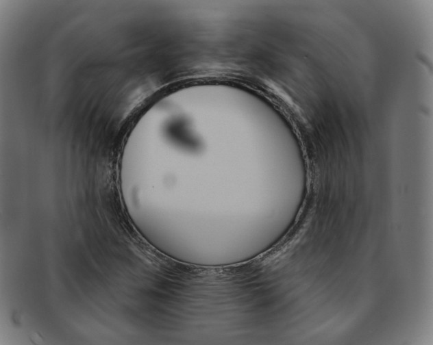 X0000092111259200709121123