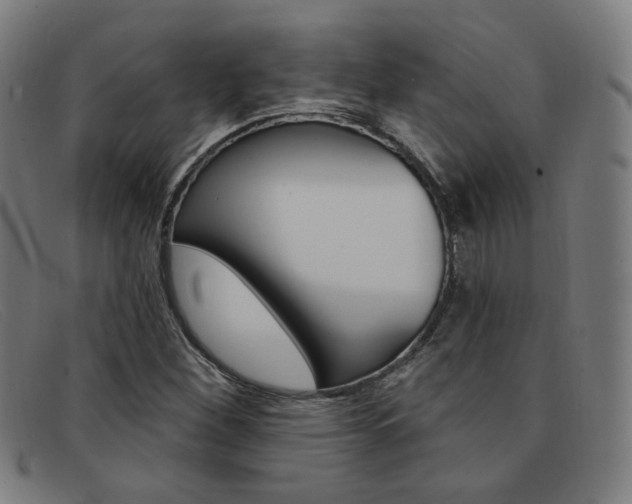 X0000092111260200709121123
