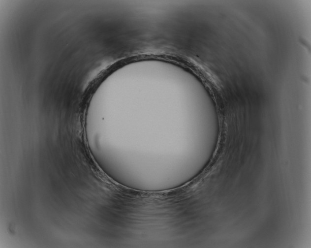 X0000092111262200709121122