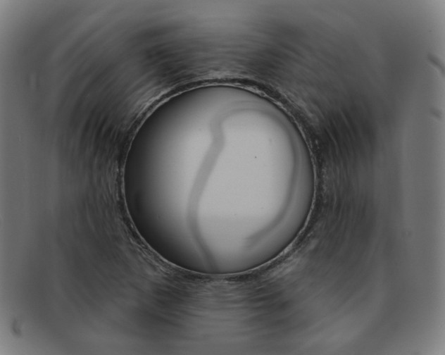 X0000092111265200709121122