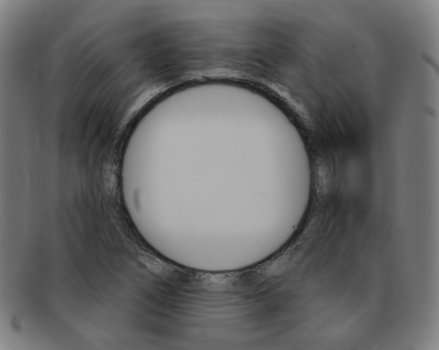 X0000092111266200709121122