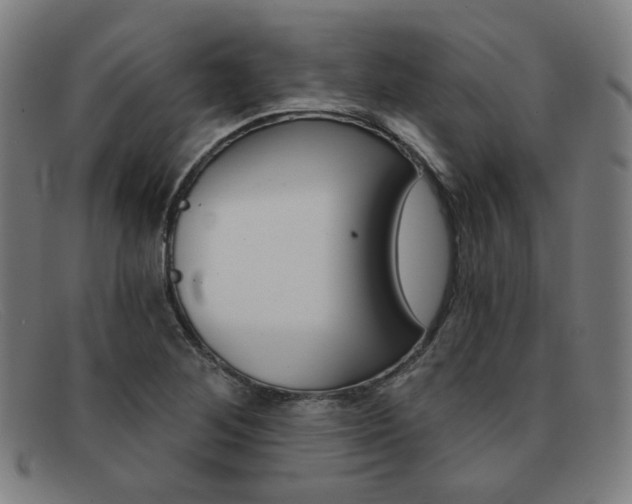 X0000092111268200709121122