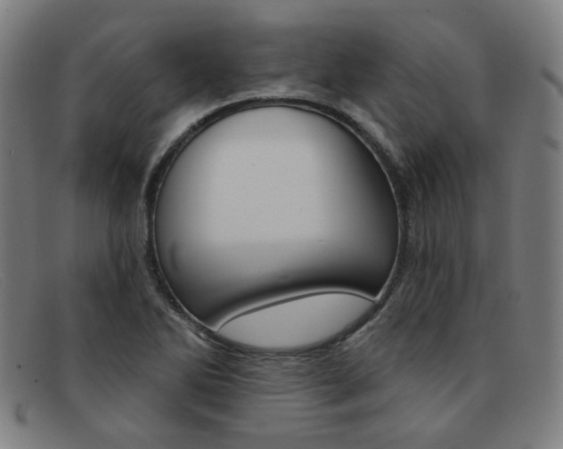 X0000092111270200709121122