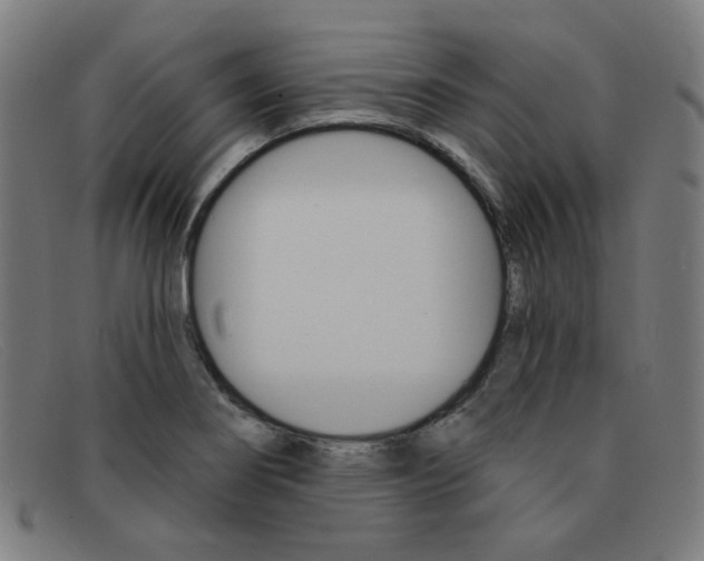 X0000092111274200709121122