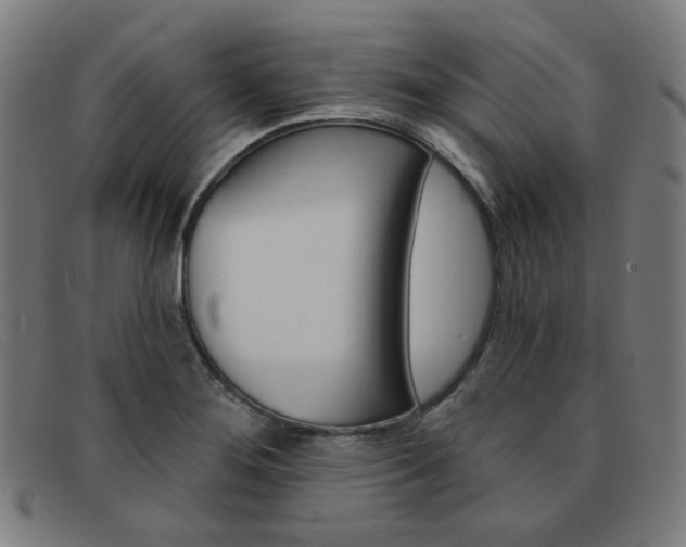 X0000092111276200709121122