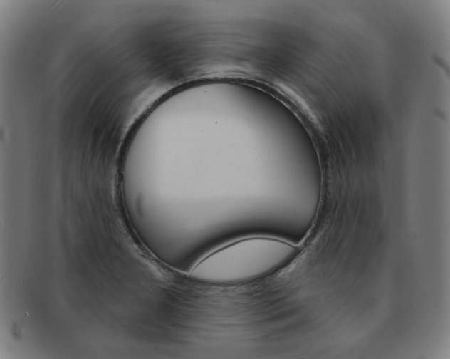 X0000092111277200709121122