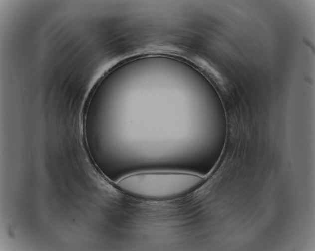 X0000092111280200709121122