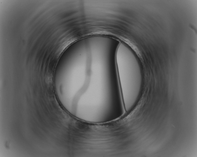X0000092111281200709121122