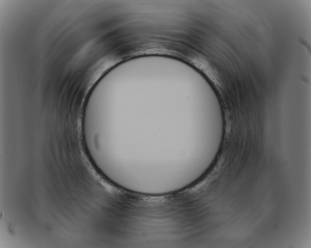 X0000092111282200709121122