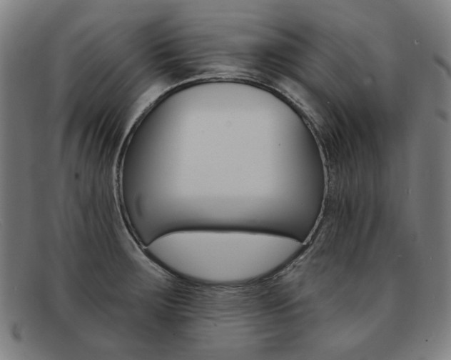 X0000092111283200709121122