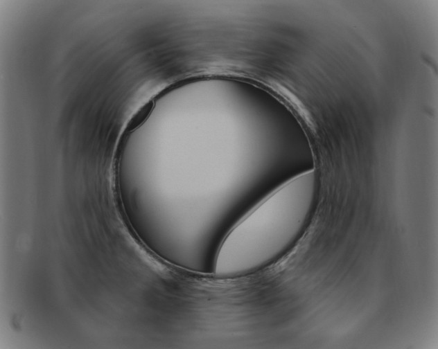 X0000092111285200709121122