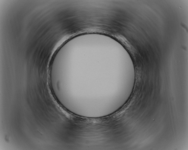 X0000092111286200709121122