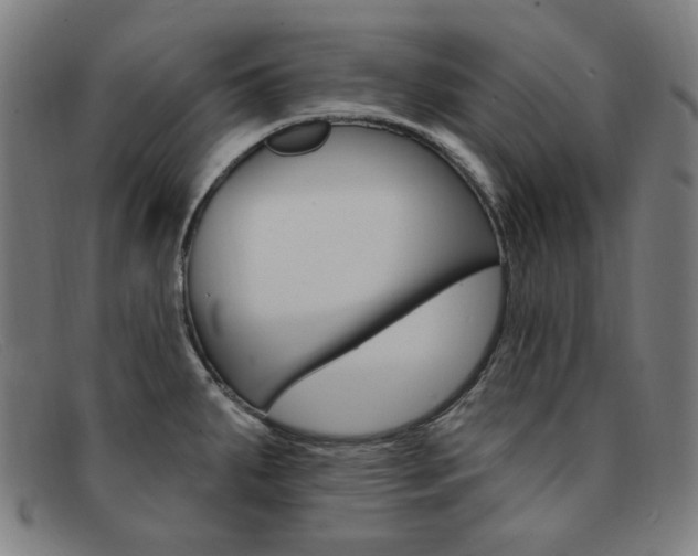 X0000092111287200709121122