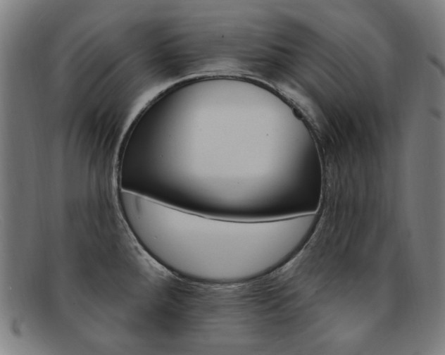 X0000092111288200709121122